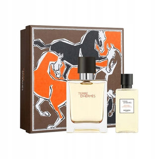 Giftset Hermes Terre dHermes Edt 100ml + Shower Gel 80ml