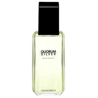 Antonio Puig Quorum Silver Edt 100ml - Vivid Glow