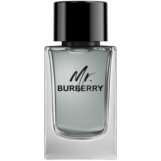 Burberry Mr Burberry Edt 100ml - Vivid Glow