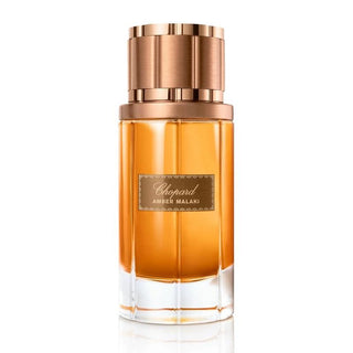 Chopard Malaki Amber Edp 80ml - Vivid Glow